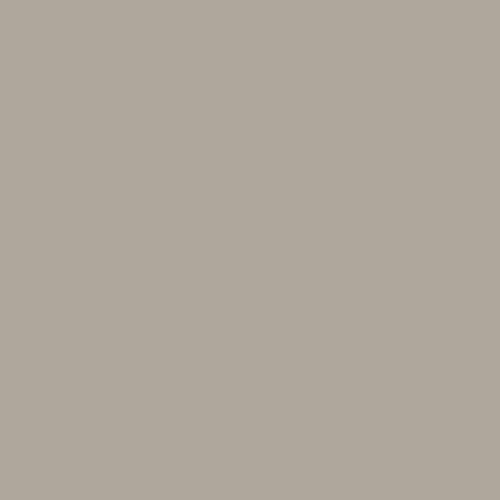 0748 Beige Arizona Компенсационный пластик (0616 Grigio Alpaca) 3050x1300x0,7 Bloom Fenix