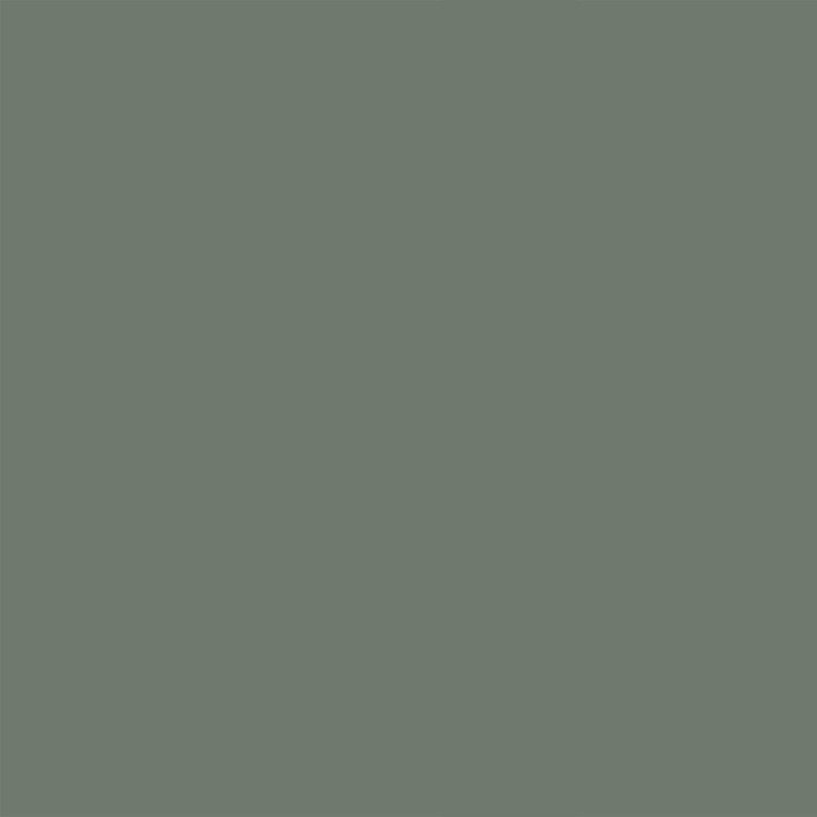 ЛДСП Egger Зелёный эвкалипт AU604 ST9 2800*2070*10