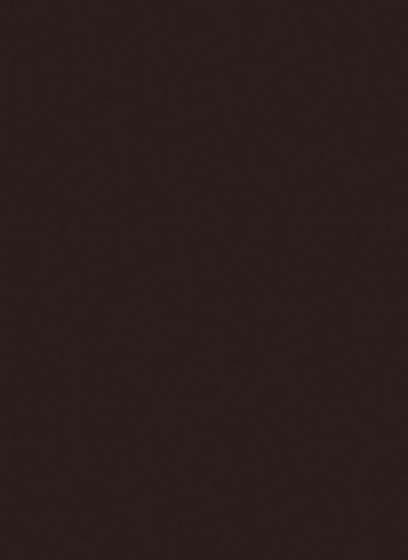 ЛДСП 16 мм 2800*2070 мм Чёрно-коричневый U989 ST9 7 Эггер