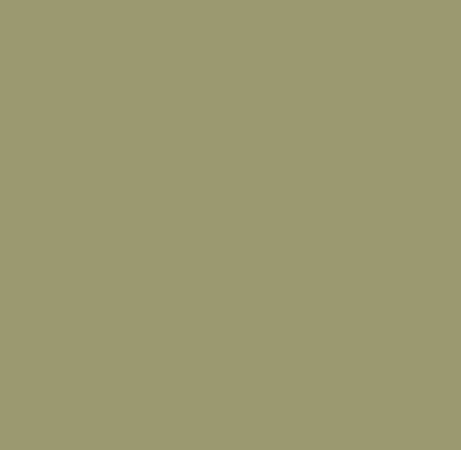Пластик Egger, БСП 2800*1310*0,8 Зелёный оливковый U640 ST9 Эггер